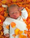 newborn