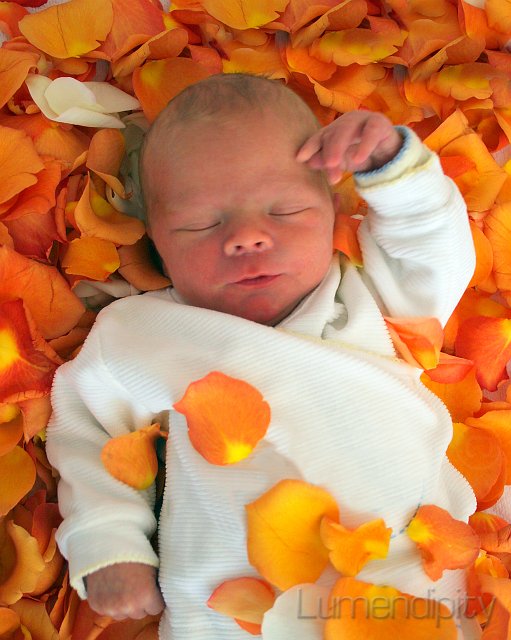 newborn.jpg
