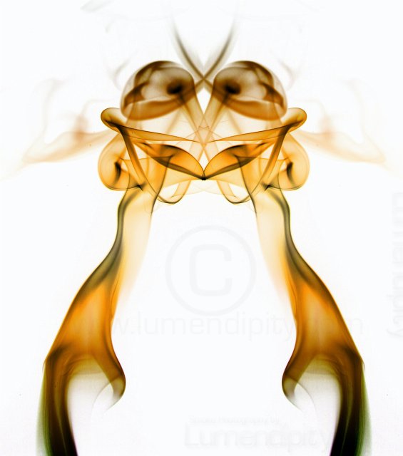 Crab.jpg